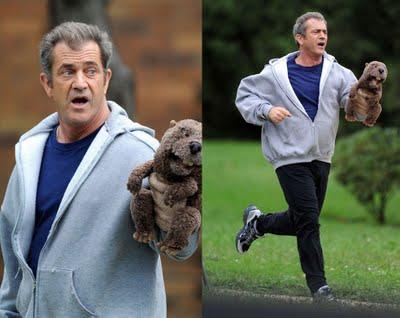 Mel Gibson sigue jugando con peluches en el trailer de 'The Beaver'