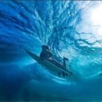 Sean Davey- Una mirada a la vida bajo el agua en la costa norte