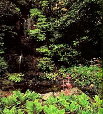 UNA EXPERIENCIA DE LO SUBLIME