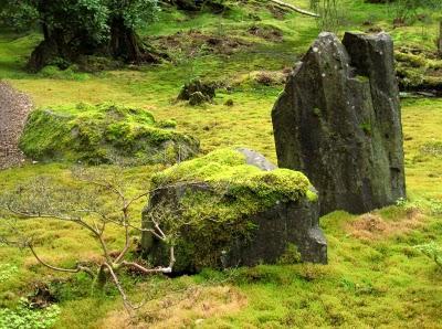 UNA EXPERIENCIA DE LO SUBLIME