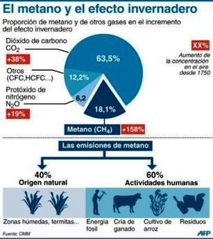 En 20 años el cambio climático provocará cerca de un millón de muertes anuales (+ infografía)