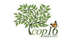 ALBA denuncia que países desarrollados no aceptarán nuevo acuerdo climático (+ audio)