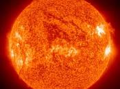 Sole