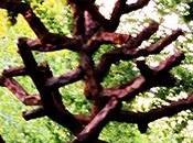 derecho salir miedo calle.