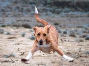 Mira eres payaso Nilo