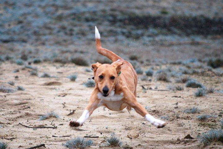 Mira que eres payaso Nilo