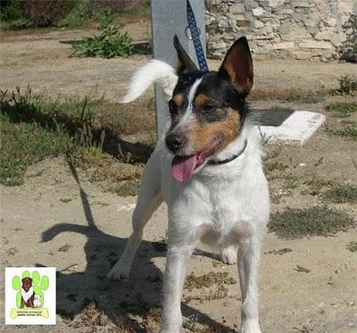 Tiene que saber que existe otra vida.