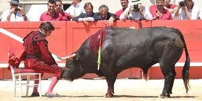 Un trono para El Gallo. La silla, pa' Morante.