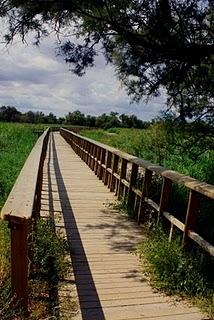 TERMINA SIEMPRE LO QUE COMENZASTE