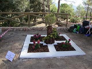 UN PEQUEÑO JARDÍN PRODUCTO DEL RECICLAJE