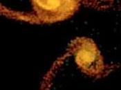 colisión galaxias puede haber formado Andrómeda