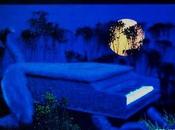 "The Real Tania Maria: Wild!" (1984) Maria. Cuando encuentran funk, bossa nova jazz latino.