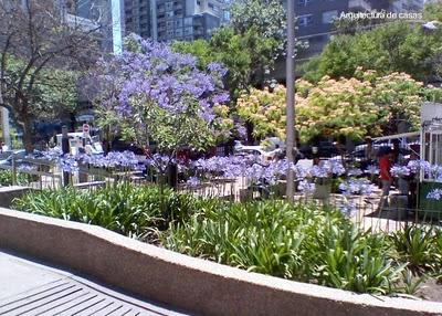 Parques y jardines en Buenos Aires