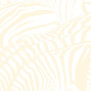 Los Discos de 2010 (1 al 14)