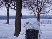 Cualquierr Dia. ......