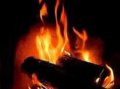 ¡Qué satisfacción! &nbsp; &nbsp;&nbsp;Un leño gran...