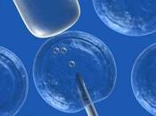 tratamiento apuesta vida