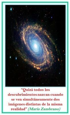 EL MUNDO TIENE FORMA DE RED