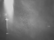 Carla Fernández Andrade