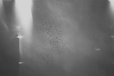 Carla Fernández Andrade