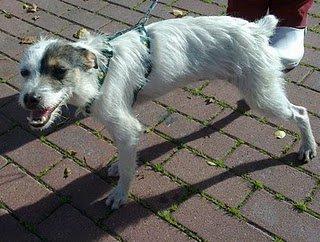 Toda una superviviente