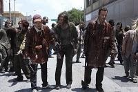 The Walking Dead (Primera Temporada)