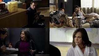 7 imágenes, 7 series (LIV)