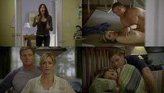 7 imágenes, 7 series (LIV)