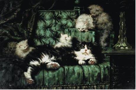 Gatos en sofá