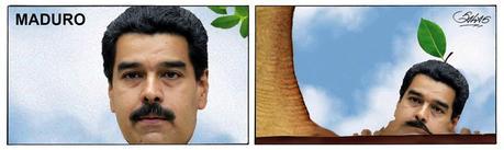 Tira Salas 5302 Tira Salas 5302