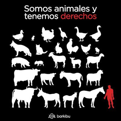 DIA INTERNACIONAL DE LOS DERECHOS DE LOS ANIMALES