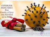Canela clavo #consejosfengshui