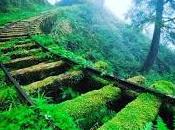 último adios Capitulo