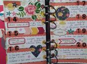 Decoración agenda Websters Pages: semana 51/2015