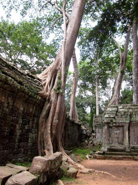 camboya-05-06-07-templos-de-angkor-70