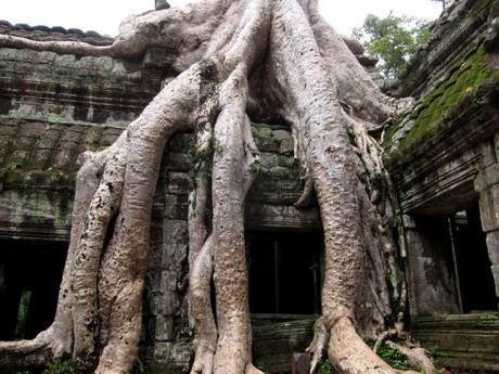 camboya-05-06-07-templos-de-angkor-75