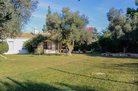 Pan dulce de Navidad Pan dulce de Navidad