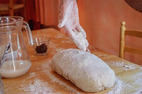 Pan dulce de Navidad Pan dulce de Navidad