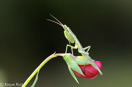 Resumen fotográfico 2015