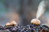 Resumen fotográfico 2015