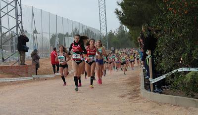 XXXIV CROSS NACIONAL CASTELLANO-MANCHEGO