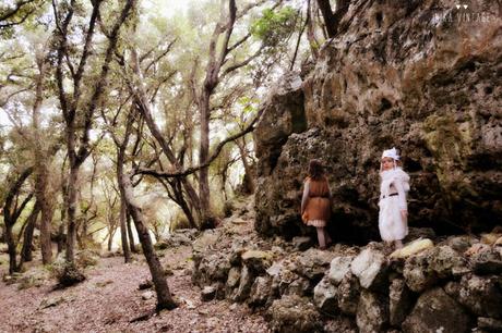 Un cuento diferente en el que nadie es bueno o malo, en esta caperucita roja y las lobas no feroces todo es distinto