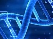 obesidad genética? ¿Cómo genes influyen peso?