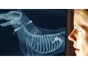 Cómo poner forma vuestro cerebro