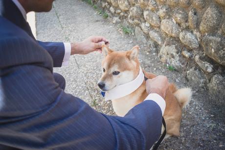 Juan&Rosa: Una boda en la Sierra de Madrid