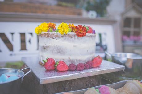 Juan&Rosa: Una boda en la Sierra de Madrid