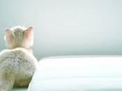 Pero, ¿Qué significado tiene soñar colchón?