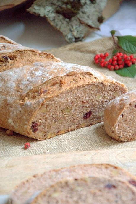 lacucharazul_pan_nueces_arándanos_11