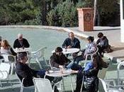 Acontecimiento gatuno (Diciembre 2015) noticias varias