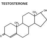 testosterona_entrenamiento